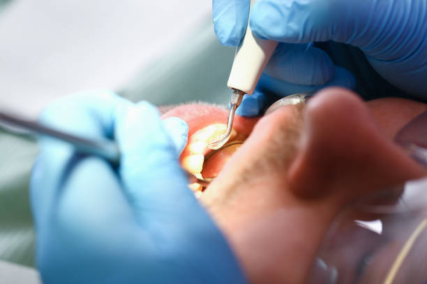 Best Emergency Pediatric Dental Care in Chetopa, KS
