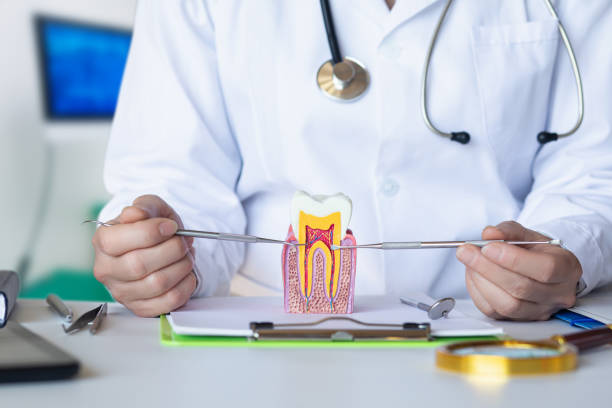 Best Knocked-Out Tooth (Avulsed Tooth) Treatment in Chetopa, KS